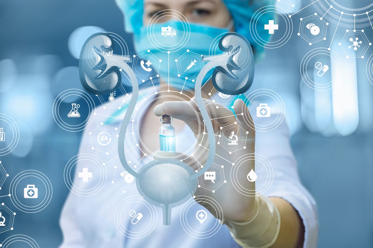 Illustrazione dell'utero